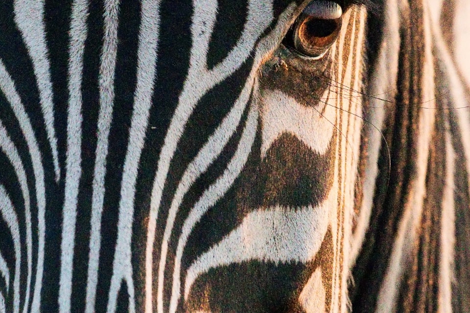 Gaborone Game Reserve